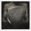 <p>MARIO CRAVO NETO - Ciança Voodoo I. Fotografia, gelatina de prata. 1989. Com moldura: 98 x 98cm. Ex-coleção Mônica Filgueiras. </p><br /><p> </p><br /><p>LINK: <a href=https://www.moma.org/collection/works/57197>MoMA - Mario Cravo Neto. Criança Voodoo (Voodoo Child).</a></p>
