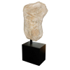 Torso Romano Imperial: Torso Monumental, fragmento de placa peitoral sob panejamento em mármore branco. Roma, século II ou III D.C. Dimensões 115 x 50 x 80 cm.