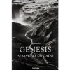 Sebastião Salgado - Êxodo - Em suas mais de 32 viagens, feito a pé, de avião, a bordo de navios, canoas e até mesmo a bordo de balões, com extremos de calor e condições de frio extremo e muitas vezes em condições perigosas, Salgado criou uma coleção de imagens que mostram a natureza, os animais e os povos indígenas com um brilho cativante. Usando apenas preto e branco, Salgado infunde textura complexa para as suas fotografias de modo que até mesmo os menores detalhes são importante. O que encontramos em Gênesis? Animal e vulcões dos pingüins de Galápagos, leões marinhos, biguás e baleias na Antártida e no Atlântico Sul; jacarés e onças no Brasil, os leões, leopardos e elefantes africanos, a tribo dos Zo'é isolado na maioria nas profundezas da selva amazônica, a Papua Ocidental Neolítico korowaide etnia; Dinka gado nômades no Nenets nômades do Sudão e os seus rebanhos de renas no Círculo Polar Ártico, as comunidades florestais nas Ilhas Mentawai oeste de Sumatra, os icebergs a Antártida vulcões África Central e na Península de Kamchatka, os desertos do Saara, os rios Negro e Amazonas Yurua, os desfiladeiros do Grand Canyon, as geleiras do Alasca e muito mais.Idioma:Português -Capa dura:520 páginas Dimensões:25.3 x 4.5 x 36.4 cm