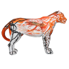 <p>Obra: Organic Jaguar</p><br /><p>Artista: Chico Ribeiro</p><br /><p>Entidade beneficiada: Onçafari  </p><br /><p>Inspiração do projeto: A estética apresentada mescla o desenho gestual e a forma na síntese de cores quentes (laranja) em analogia a de representações internas e quase anatômica do animal (Jaguar), tem como base a expressividade presente em ilustrações Orientais do de Tigres de Bengala. Nesse aspecto, para a representação desta dinâmica da arte oriental baseado em inspiração de manifestações da natureza como as ondas do mar, é possível associar ao dinamismo presente a miragem de nossos rios que cercam as cidades Amazônicas.</p><br /><p>Medidas onça: 125x53,2x203 (AxLxP)<br />Medidas base*: 62x62x203 (AxLxP) </p><br /><p>Material: Fibra de Vidro, Tinta Acrílica e Verniz PU.</p><br /><p>Pode ser exposta em ambiente externo.</p><br /><p> </p><br /><p>*A base da escultura também faz parte desse lote.</p>