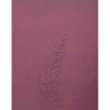Frans Krajcberg - relevo sobre papel moldado e timbrado 46 x 35 cm Folha ass. CID e CIE 1988 t.1/1