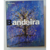 <p>ANTONIO BANDEIRA - UM RARO - VERA NOVIS - MEDIDAS 29x24cm - EDITORA SALAMANDRA </p>