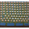 <p>Antônio Poteiro - Passarada - 90 x 100 cm - Óleo sobre tela - Assinatura canto inferior direito e Data 2007 - Acompanha certificado de autenticidade emitido pelo Instituto Antônio Poteiro </p>