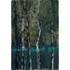 GONÇALO IVO - Sitio São João - Floresta - têmpera sobre tela - 35 x 24 cm - assinado no verso 2005