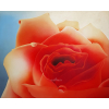 <p>PIETRINA CHECCACCI MISTERIO Vinil Sobre Tela -Med 150 x 120 cm -Assinada e Dat 2001 no CIE e no Verso Assinada, datada e titulada.&nbsp;&nbsp;</p>