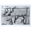 Walter Firmo - Janelas<br>Fotografia: Impressão em papel fotográfico com moldura, paspatur e vidro<br>25 x 38 cm (Medida Interna)<br>1989<br>Assinada e datada no paspatur frente canto inferior à direita<br>Participou de exposições na Galeria de Arte Maria de Lourdes Mendes de Almeida do Centro Cultural Candido Mendes - Ipanema, Rio de Janeiro/RJ em 1989 e 1994<br>Reproduzida no catálogo “Coleção Centro Cultural Candido Mendes – 10 anos de Acervo” (MAM-RJ, Março de 1991), pág. 80<br>Reproduzida no catálogo “Vinte E Cinco Anos – Centro Cultural Candido Mendes Galeria de Ipanema” (UCAM, Setembro de 2003), pág. 58-59