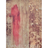 <p>DANIEL SENISE - 2000-2006 - 27x20 cm; 160 págs.; português / inglês; ricamente ilustrado</p>