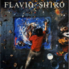 <p>FLAVIO SHIRÓ - 28x28 cm; 190 págs.; profusamente ilustrado</p>