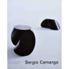 <p>SERGIO CAMARGO  -  128 págs. e 119 ilustrações; capa dura; da Cosac & Naify</p>