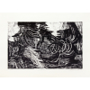 <p>Burle Marx, Roberto- Clarival II 111/200- Litografia- 46x64- 1979- A.I.D</p>
