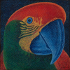 <p>Claudio Tozzi - Papagalia. Acrílica sobre tela sobre placa, 40x40 cm, SD, A.C.I.D</p>