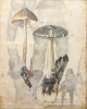 <p>Nelson Leirner, T&eacute;cnica mista grafite e impress&atilde;o, 1974, 24x19, ass com dedicat&oacute;ria</p>