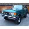 <p>1989 Ford Bronco V8 4x4<br />Verde metálico com interior creme<br />Motor 5.8 V8<br />Cambio automático Borg Warner na coluna<br />Tração 4x4<br />Rodas e pneus novos BF Goodrich, inclusive estepe<br />Ar-condicionado<br />ABS<br />91.000 milhas<br />Importação recente<br />Placa final 9</p>