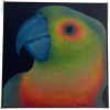 <p>Claudio Tozzi 79 - OST. Mede 65cm x 65cm.</p>