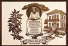 <p>Uma homenagem a minha av&oacute; Nazareth, que muito me ensinou sobre caf&eacute;. Um caf&eacute; de 95 pontos, produzidos na fazenda sert&atilde;o, onde como familia nos sentimos honrados em fazer essa homenagem a vov&oacute; que participou em 2005 do cup of excelence, quando batemos o recorde com a pontua&ccedil;&atilde;o de 95.86. E hoje compartilhamos com voc&ecirc;s, mais uma vez, um caf&eacute; com pontua&ccedil;&atilde;o de 95 , um bourbon produzido na fazenda e selecionado especialmente para esse leil&atilde;o, uma verdadeira obra de arte do caf&eacute;. 100 gramas desse lote raro</p><br /><p>&nbsp;</p>