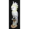 Grande e bela escultura de coleção, em porcelana Royal Dux - Bohemia, policromada, representando Cacatua sobre tronco. Alt. 41cm. 