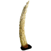 Grande ponta de presa em marfim africano, esculpido em relevo, de diversas cenas do cotidiano em 4 níveis. Base de madeira. Alt. total 62cm. 