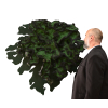 FRANS KRAJCBERG (Kozienice, 12 de abril de 1921 - Rio de Janeiro, 15 de novembro de 2017)<br />FLOR VERDE Escultura de parede. assinada F.K. <br />MEDIDAS: 109x120x30 cm<br /><br />Dos escombros do Holocausto às queimadas da Amazônia, Frans Krajcberg transformou a dor em denúncia e a natureza em manifesto. Sobrevivente, guerrilheiro, artista. Um homem que perdeu tudo — a família, a pátria, o amor — e encontrou na arte o único idioma possível para seguir vivo.<br />Esta é a história de um dos maiores artistas do século XX, que trocou os salões de Paris pela mata brasileira e fez da madeira queimada o símbolo de uma revolta silenciosa contra a destruição do planeta.