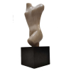 BRUNO GIORGI<br />56 x 18 x 18 cm.<br />TORSO EM MÁRMORE DE CARRARA, BASE EM BLOCO DE GRANITO.<br />Assinado por extenso<br />Procedência Galeria Dom Quixote RJ.<br /><br />Em Paris 1937 frequenta a Académie de la Grande Chaumière e a Ranson, aluno de Aristide Maillol, conviveu com Henry Moore e Charles Despiau.<br /><br />Em 1939 integra-se ao movimento modernista brasileiro com Vitor Brecheret e Mário de Andrade. Trabalhou com os artistas do Grupo Santa Helena<br />Participou da exposição do Grupo Família Artística Paulista.