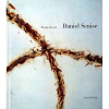 DANIEL SENISE | Trabalhando nos limites da pintura e da representação, Daniel Senise surgiu nos anos 80 para se afirmar como um dos nomes importantes na cena internacional contemporânea. Este livro apresenta 105 reproduções do artista. Livro em formato 26x30cm, capa dura, 220 páginas, ricamente ilustrado. 