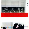CLUBE DE GRAVURA - Livro fartamente ilustrado, que avalia e documenta a história do Clube de Colecionadores do MAM São Paulo desde a sua criação, em 1986. ff <br />800g; 23x22 cm; 200 págs.; português e inglês<br />