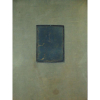 Mario Cravo Neto - S/T - Lona e bandeja de ferro oxidado - 216 x 120 cm - ass. verso - 1983