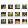 <p>Maíra das Neves & Pedro Victor Brandão - Instalação com 12 Fotografias em 3D (com óculos) – Formação da Supercélula – fotografia estereoscópica anáglifa - impressão em jato de tinta sobre papel algodão, pasta e óculos anáglifo - Tiragem 3/3 – Certificado da Galeria Portas Vilaseca – RJ. 2014 – 20 x 20 cm cada.</p>