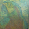 <p>CLAUDIO TOZZI - Papagália - Tina Acrílica sobre tel, colada em madeira - CID - 80 x 80 cm.</p>