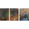 DENISE GADELHA - A Respeito da Pintura Retiniana - Giverny - fotografia - tríptico - 170x126 cm cada - assinada no verso
