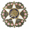 Imperial Ordem da Rosa. Placa de Comendador da Ordem, de ouro e esmalte, circundada por 18 rosas esmaltadas, sobre estrela também esmaltada de seis pontas brancas, apoiado em placa raiada de bordos ondulados, círculo central com monograma P. A. entrelaçado e circundado por faixa esmaltada em azul com a legenda Amor e Fidelidade. Alfinete no reverso; 5,3 cm de diâmetro. Brasil, séc. XIX.