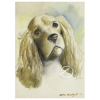 <p>Anita Malfatti. - Cabeça de Cão, Cocker Spaniel. Aquarela sobre cartão, 31 cm x 22 cm. Assinado e datado embaixo à direita: Anita Malfatti 55. - Segundo informação da família trata-se do cão da sobrinha da artista, D. Doris.</p>