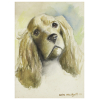 <p>Anita Malfatti. Cabeça de Cão, Cocker Spaniel. Aquarela sobre cartão, 31 cm x 22 cm. Assinado e datado embaixo à direita: Anita Malfatti 55. Segundo informação da família trata-se do cão da sobrinha da artista, D. Doris.</p>