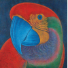 TOZZI, Cláudio - Papagália - A.S.T. - 120 x 120 cm - a.c.i.d. 1981 