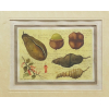 <p>Mário Zavagli - Estudo - Medidas 14 x 20 cm - Aquarela Sobre Cartão - Com Moldura - Assinada no Canto Inferior Esquerdo e Datada 1987</p>