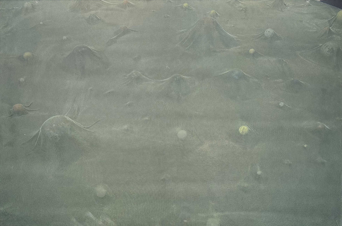 Cildo Meireles