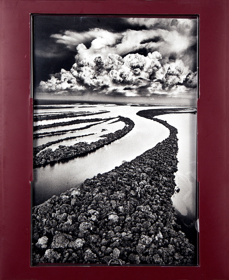 Sebastião Ribeiro Salgado