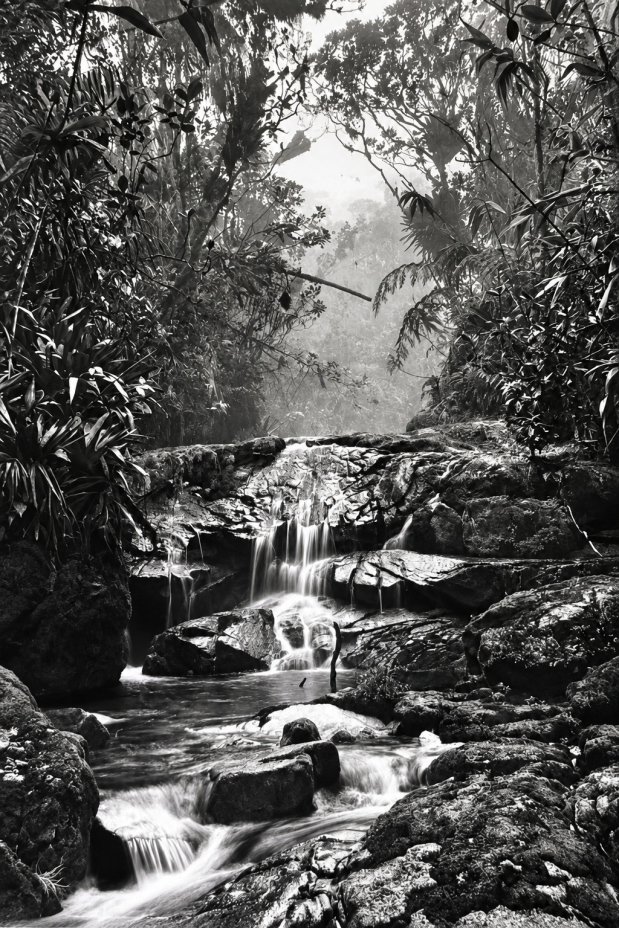 Sebastião Ribeiro Salgado